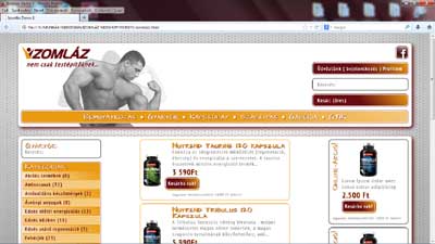 webshop, template